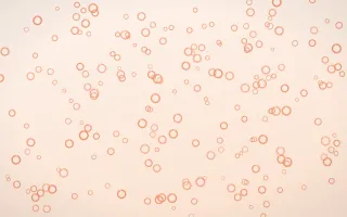 Peach Fuzz Rings Dense III — light orange and white playful background, variation III