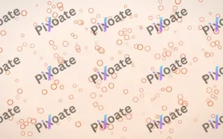 Peach Fuzz Rings Dense III — light orange and white playful background, variation III