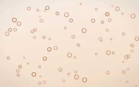 Terracotta Rings — light orange and beige playful background