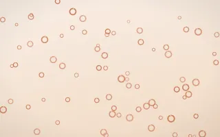 Terracotta Rings II — light orange and beige playful background, variation II