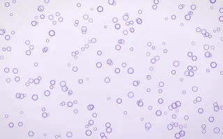 Wisteria Rings Dense — light purple and white playful background