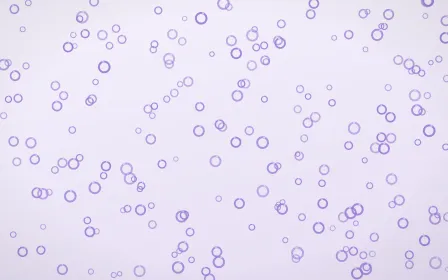 Wisteria Rings Dense — light purple and white playful background