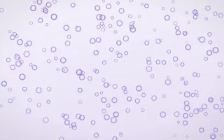 Wisteria Rings Dense III — light purple and white playful background, variation III