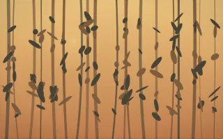 Autumn Glow Rainforest II — colourful orange, brown and grey rainforest background, variation II
