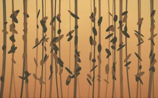 Autumn Glow Rainforest IX — colourful orange, brown and grey rainforest background, variation IX