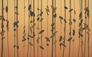 Autumn Glow Rainforest V — colourful orange, brown and grey rainforest background, variation V