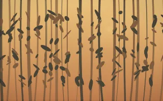 Autumn Glow Rainforest VII — colourful orange, brown and grey rainforest background, variation VII