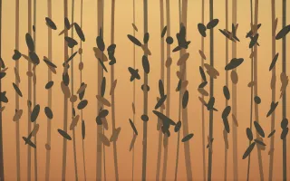 Autumn Glow Rainforest VIII — colourful orange, brown and grey rainforest background, variation VIII