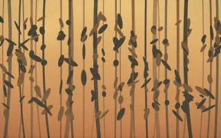 Autumn Glow Rainforest XI — colourful orange, brown and grey rainforest background, variation XI