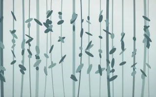 Coastal Mist Rainforest — light white and teal rainforest background