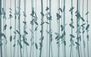 Coastal Mist Rainforest XI — light white and teal rainforest background, variation XI