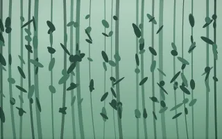 Emerald Mist Rainforest V — dark green rainforest background, variation V