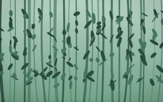 Emerald Mist Rainforest VII — dark green rainforest background, variation VII