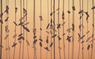 Golden Hour Rainforest IV — colourful orange and pink rainforest background, variation IV
