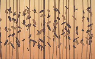 Golden Hour Rainforest IX — colourful orange and pink rainforest background, variation IX
