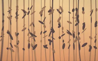 Golden Hour Rainforest V — colourful orange and pink rainforest background, variation V