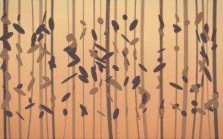 Golden Hour Rainforest VIII — colourful orange and pink rainforest background, variation VIII