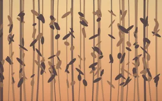 Golden Hour Rainforest X — colourful orange and pink rainforest background, variation X