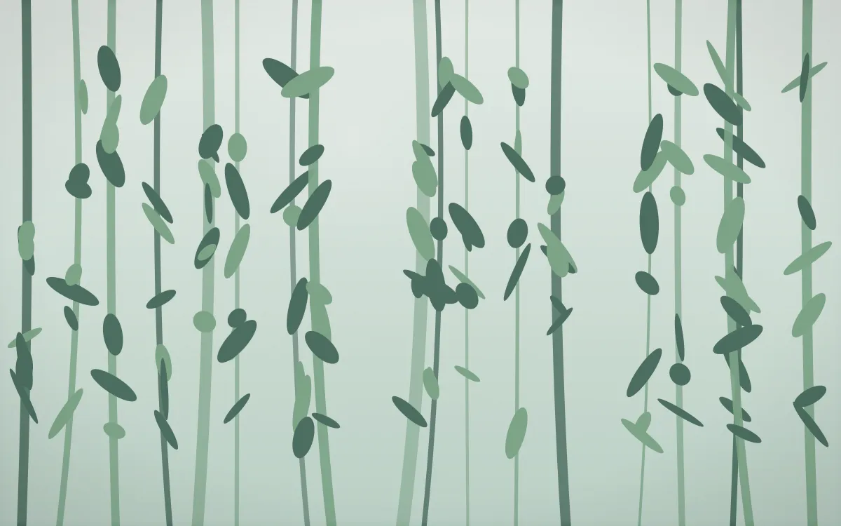 Spring Rain Rainforest — light white and green rainforest background