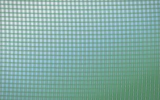 Clear Day Rattan — light blue and green rattan background