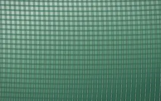 Emerald Mist Rattan II — dark green rattan background, variation II