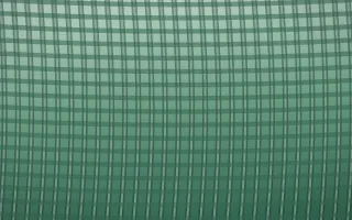 Emerald Mist Rattan IV — dark green rattan background, variation IV
