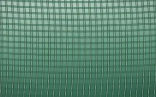 Emerald Mist Rattan IX — dark green rattan background, variation IX