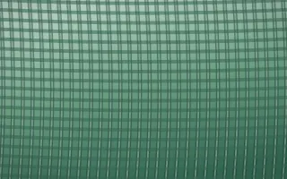 Emerald Mist Rattan VIII — dark green rattan background, variation VIII
