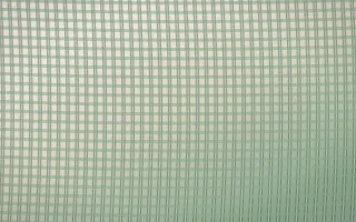 First Light Rattan — light beige and green rattan background