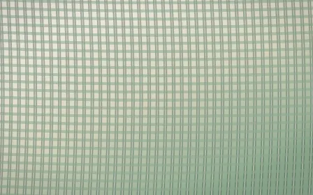First Light Rattan — light beige and green rattan background