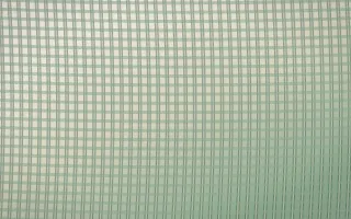 First Light Rattan XI — light beige and green rattan background, variation XI