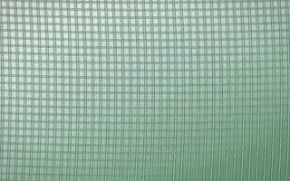 Spring Rain Rattan — light white and green rattan background