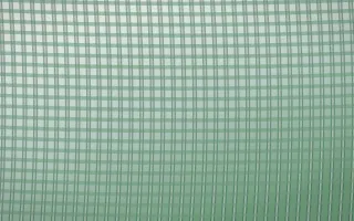 Spring Rain Rattan II — light white and green rattan background, variation II