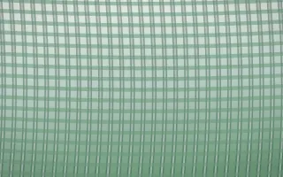 Spring Rain Rattan IV — light white and green rattan background, variation IV