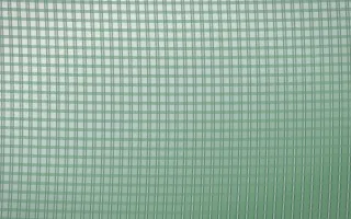 Spring Rain Rattan XI — light white and green rattan background, variation XI