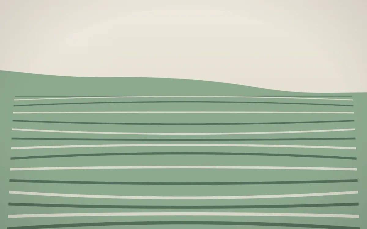 First Light Rice Terrace — light beige and green rice terrace background