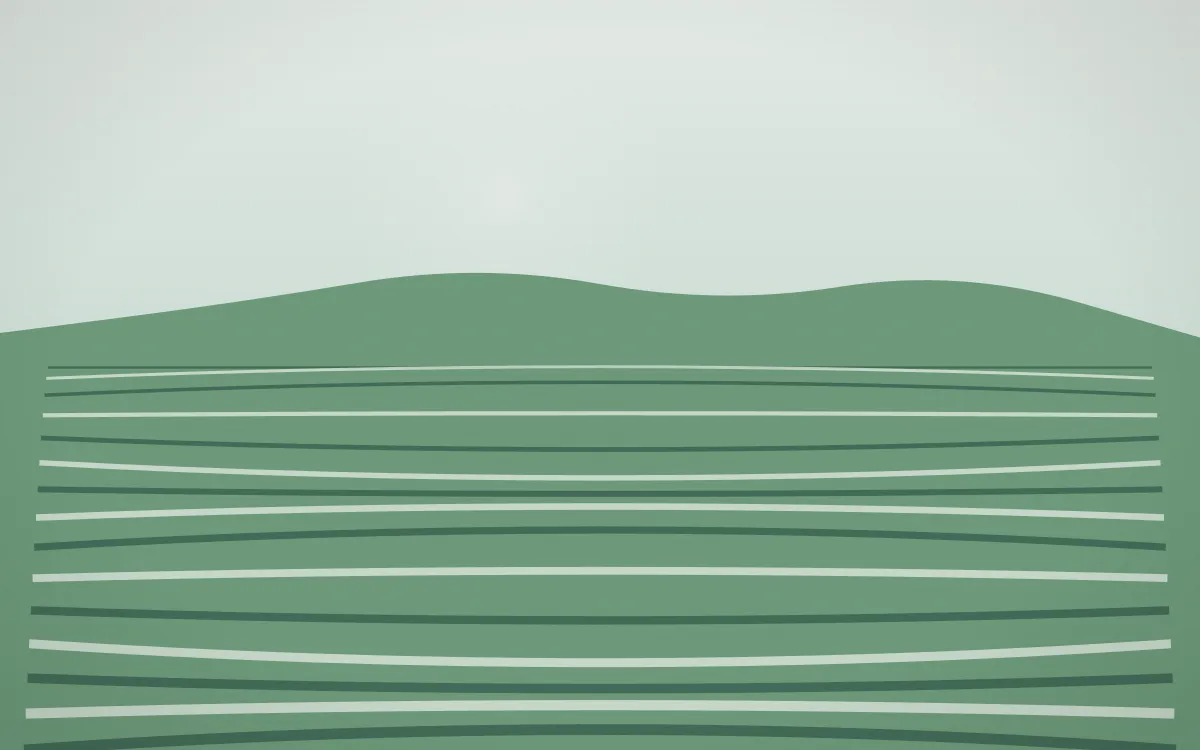 Spring Rain Rice Terrace — light white and green rice terrace background