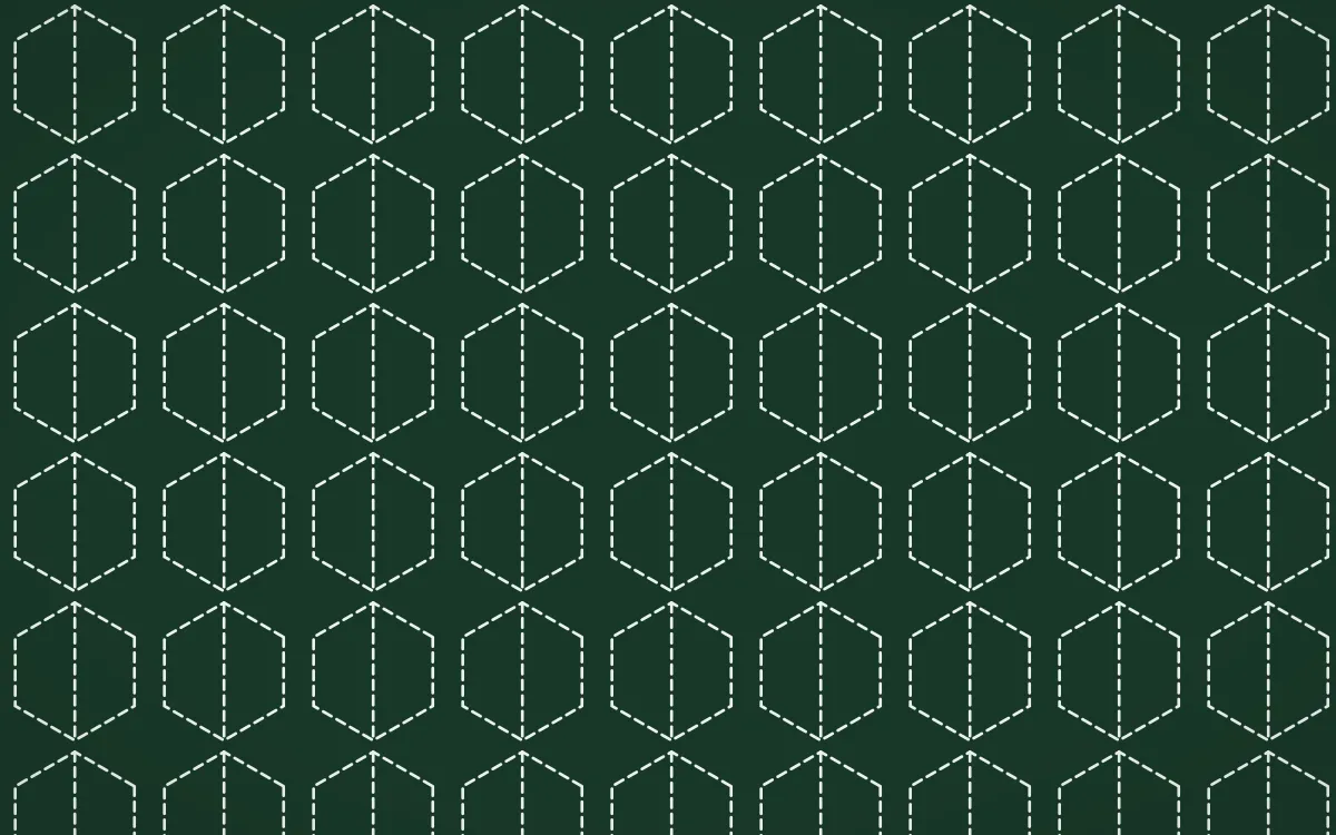Alhambra Jade Stitch Hexagons — dark green and white sashiko background