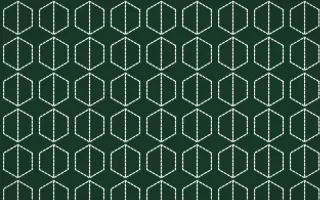 Alhambra Jade Stitch Hexagons — dark green and white sashiko background