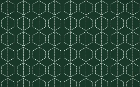 Alhambra Jade Stitch Hexagons — dark green and white sashiko background
