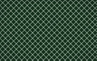 Amazônia Stitch Diamonds — dark green and white sashiko background
