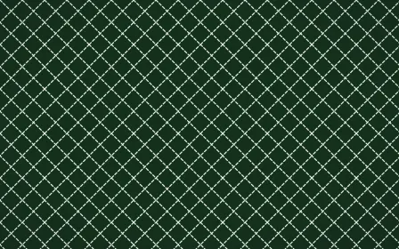 Amazônia Stitch Diamonds — dark green and white sashiko background