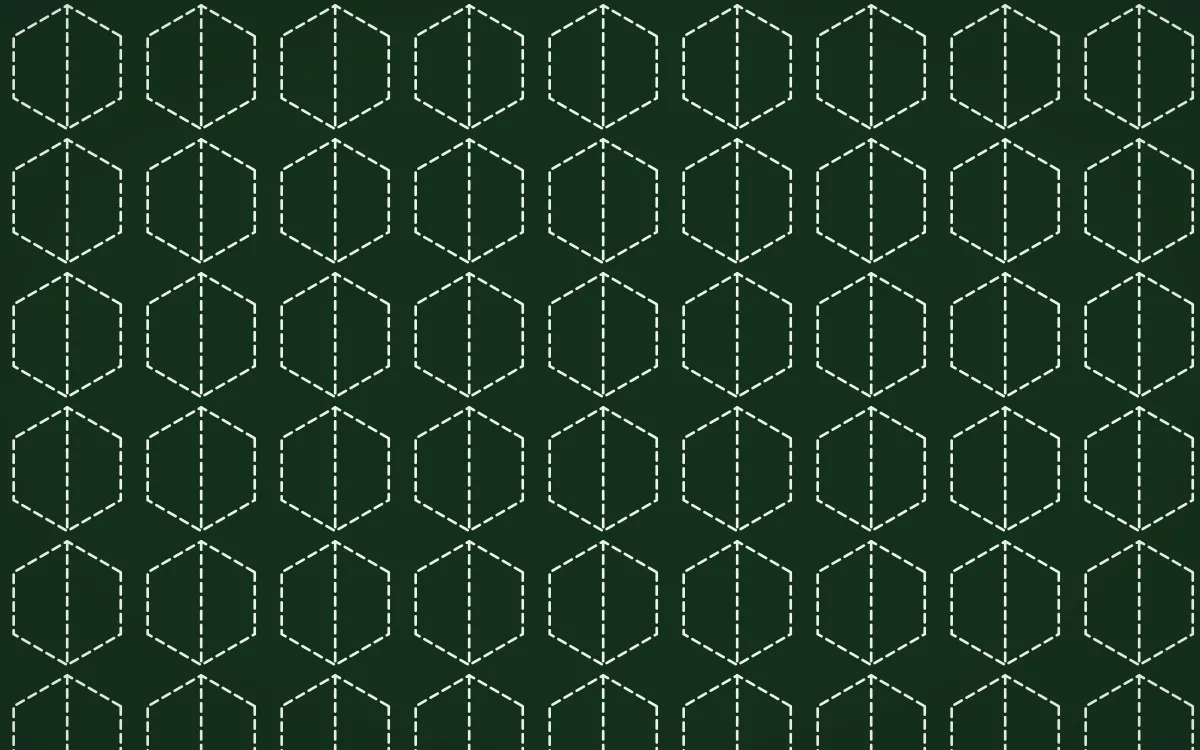 Amazônia Stitch Hexagons — dark green and white sashiko background
