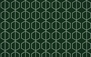 Amazônia Stitch Hexagons — dark green and white sashiko background
