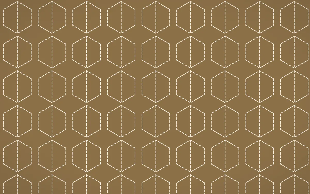 Atlas Sand Stitch Hexagons — colourful orange and beige sashiko background
