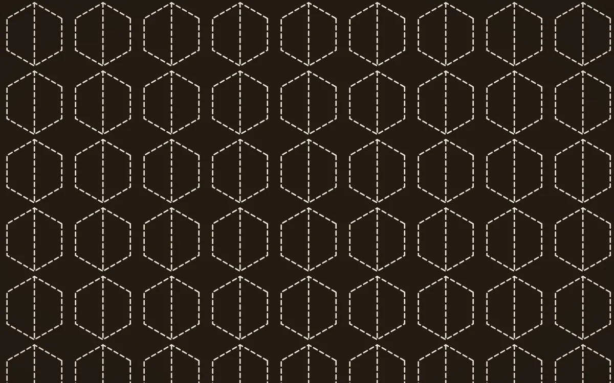 Bamako Earth Stitch Hexagons — dark brown and beige sashiko background