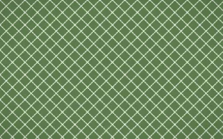 Bamboo Mist Stitch Diamonds — dark green and white sashiko background