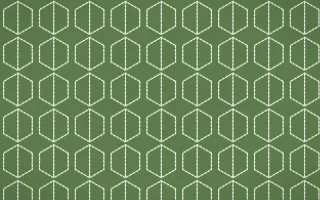 Bamboo Mist Stitch Hexagons — dark green and white sashiko background