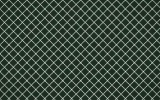 Bavarian Forest Stitch Diamonds — dark green and white sashiko background