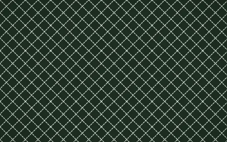 Bavarian Forest Stitch Diamonds — dark green and white sashiko background